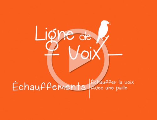 Echauffement de la voix à la paille — Lignedevoix